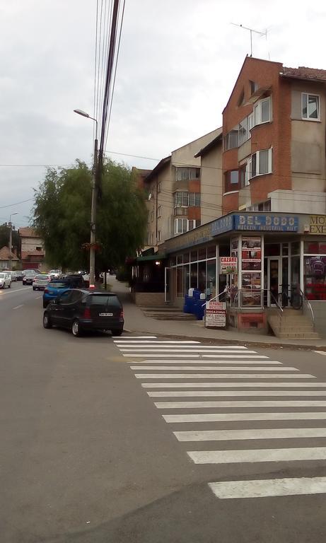 דירות אלבה לוליה Garsoniera Del Dodo מראה חיצוני תמונה